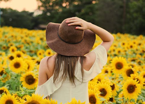 beautiful seasonal flowers